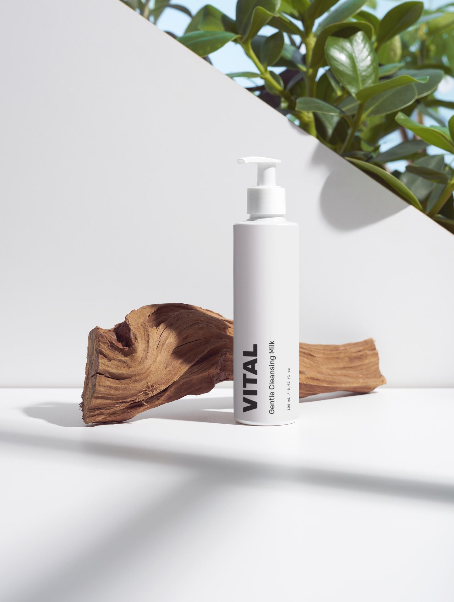 Gentle Cleansing Milk